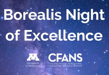 borealis night of excellence logo